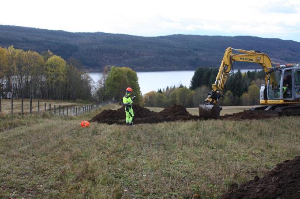 bygningene gis en verneverdi på bakgrunn av dette, og området gis en samlet verneverdi middels.