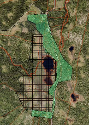 114. Svangtjern LNF og fritidsbebyggelse LNF spredt fritidsbebyggelse 195 daa Skogsområde langs fylkesveg, ca. 650 moh. Grenser inntil Svangtjern naturreservat.