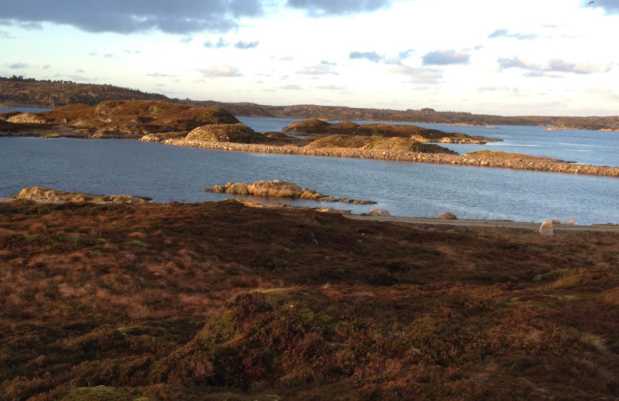 Figur 3. Bilde tatt fra tomt A05. Turvei mot sjø kan ses i forkant til sjøkanten. Oppe til høyre er molo. Det utfylte området på Kalvøya er tenkt for naust.