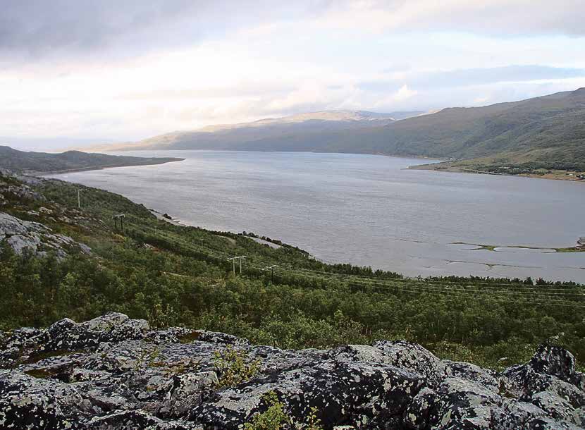 Men Repparfjorden er også nasjonal laksefjord, og Repparfjordelva er ei svært god fluefiskeelv med mye laks.