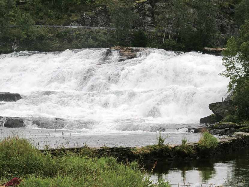 Naturvernforbundet 100 år Sogn og Fjordane Kjempar for Førdefjorden Fleire millionar tonn gruveavfall kan bli dumpa i Førdefjorden kvart år.