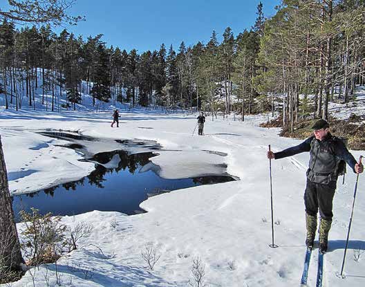 no Å skjerme Oslomarka mot kraftgater, veier, flatehogst og boliger, det har vært oppgaven.