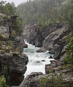 En rekke politibiler kommer kjørende gjennom granskogen. Vegen er smal og stiger avsides opp fra dalbunnen, i retning åskammen der grensa går mellom Hadeland og Romerike.