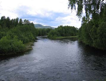 velutviklete, eksempelvis på begge sider av elva nord for Imsroa, samt ikke minst på den lange strekningen med Koppangsøyene.