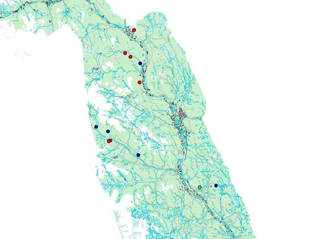 Omtale av en del spesielt interessante rødlistesopp for Stor-Elvdal Aniskjuke Trametes suaveolens (V) Sjelden art, først og fremst knyttet til rike flommarksskoger langs de store vassdragene i