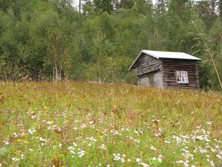 Posisjon: NQ 20 88 Beskrivelse Generelt: Opplysninger innlagt av EBe 16.05.2009 basert på eget feltarbeid 09.09.2008.