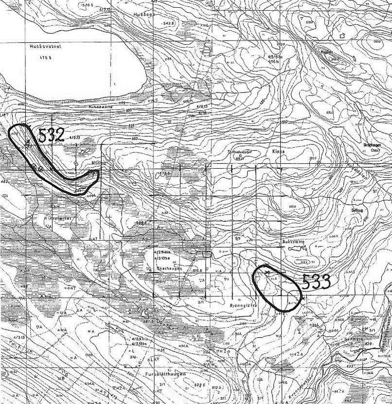 Lok. nr. 532 Kinna Viktig: B Naturtype: Sørvendt berg og rasmark Utforming: Rasmarker med større eller mindre innslag av skog/trær Tilstand: Lite tilgjengelig rasmark med et urørt preg Undersøkt: 09.