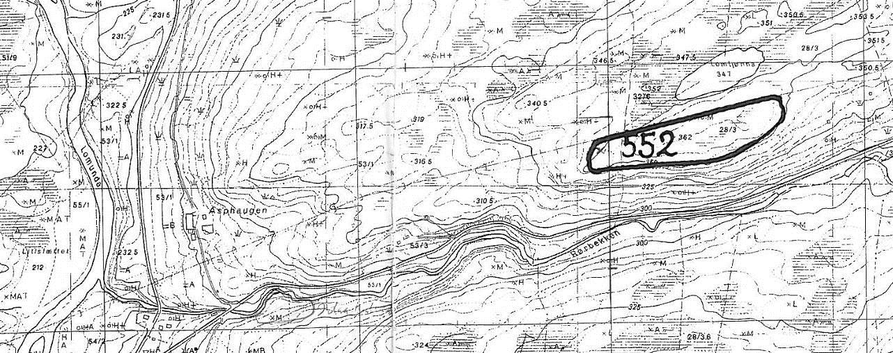 Lok. nr. 552 Åsmo V Viktig: B Naturtype: Gammel barskog Utforming: Gammel furuskog Tilstand: Mangel på sterkt nedbrutte læger indikerer brudd i kontinuitet langt bakover i tid.