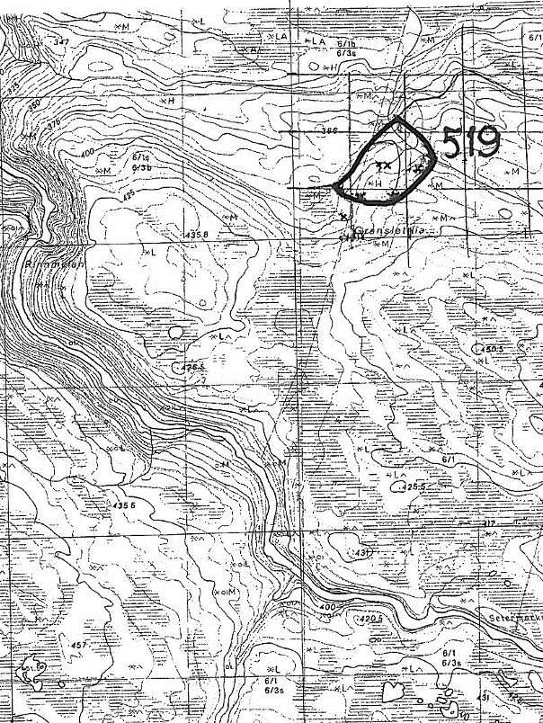 Lok. nr. 519 Granslettlia Lokalt viktig: B Naturtype: Gammel barskog Utforming: Gammel granskog Tilstand: Det finnes gamle granstubber etter plukkhogst.