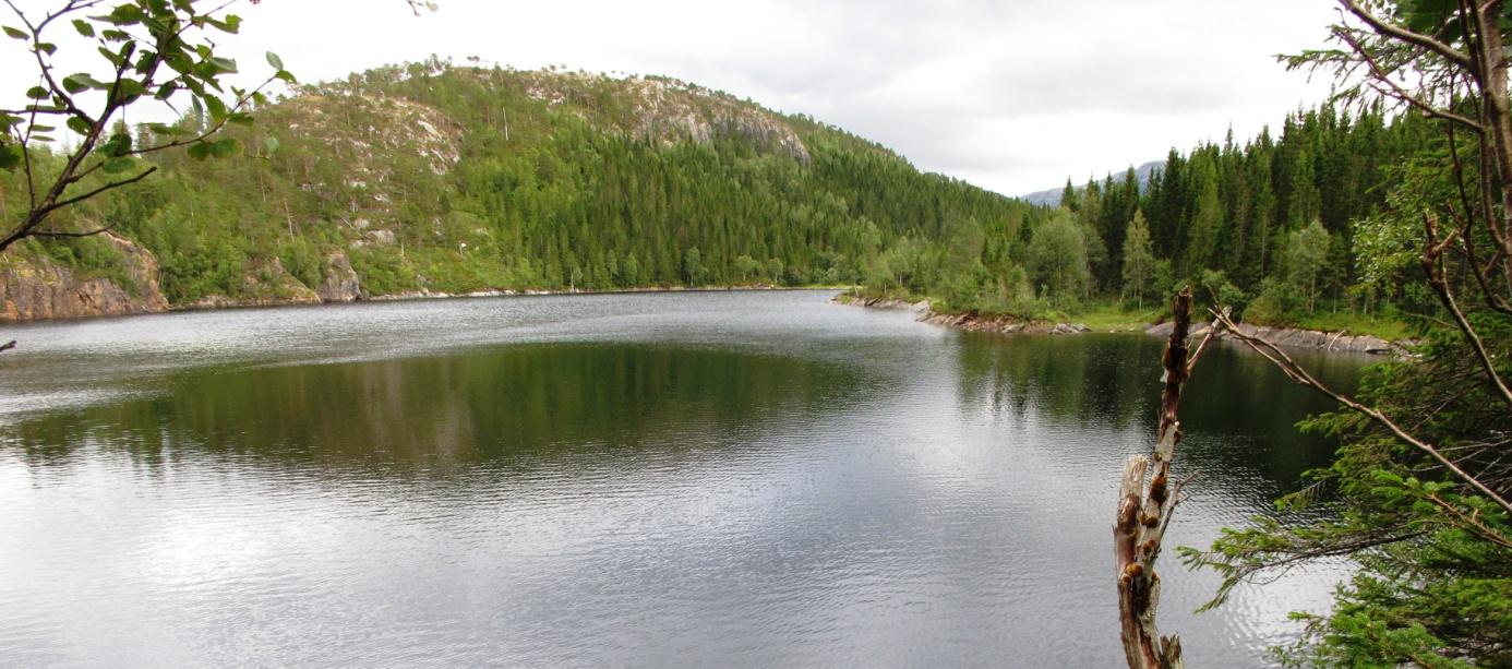 Verdivurdering: Trollvatnet er en oligotrof, middels kalkrik og humusrik sjø uten noen truet vegetasjonstype.