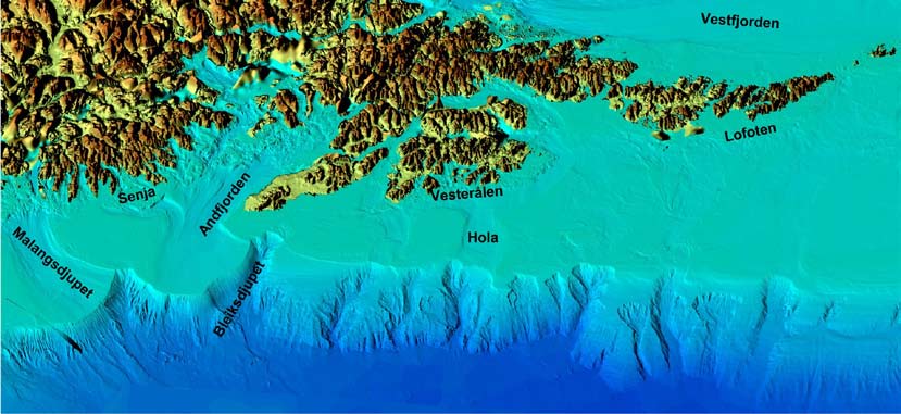 Figur 6. Kontinentalskråningen mellom Lofoten og Senja har dype renner canyons og store undersjøiske ras.