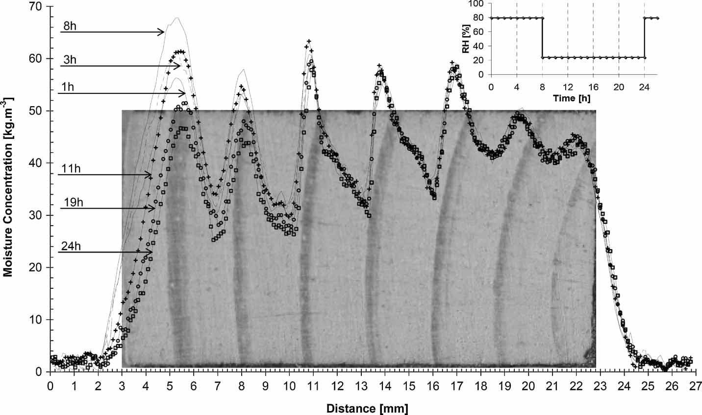 Inntrengingsdybde Hameury & Sterley (2006) Magnetic resonance imaging of moisture distribution in Pinus