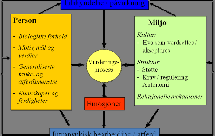 et godt læringsmiljø i skolen, og betydningen dette har for elever som har emosjonelle problemer. Faktorene på personsiden kommer til å omtales gjennom faktorene på miljøsiden.