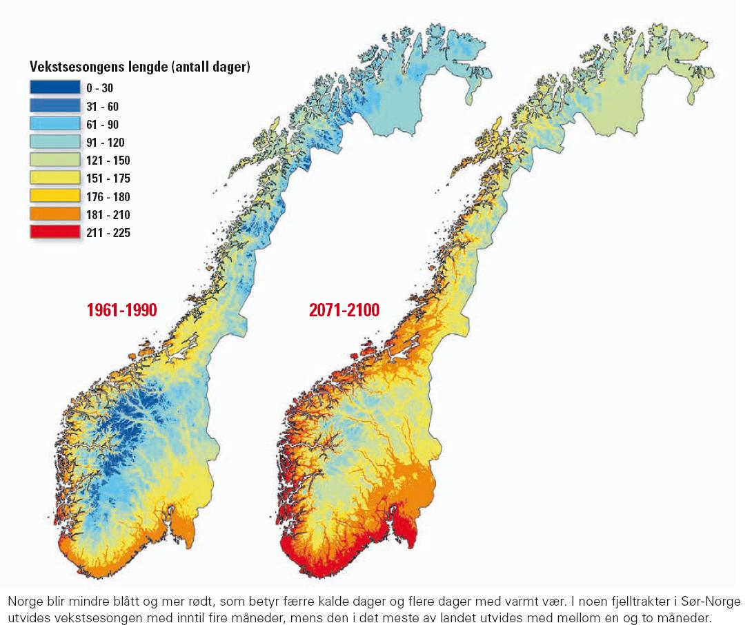 Endringer i vekstforhold Vekstsesongens lengde ifølge dagens normal (1961-90) på kartet til venstre, og i 2071-2100 på kartet til høyre.