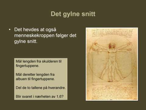 Det har vært hevdet menneskekroppens proporsjoner i en del tilfeller samsvarer med det gylne snitt.