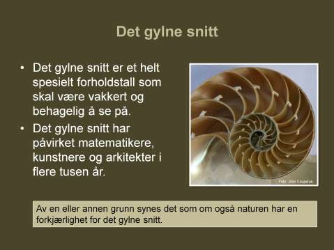 Det gylne snitt er et fascinerende og ganske spesielt forholdstall som vi finner i naturen, kunsten og arkitekturen.