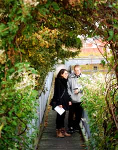 5.2 Sverige, Malmø Augustenborg Botanical Roof Garden en demonstrasjonshage som skal bidra til kunnskap og inspirasjon 15: Takhagen i Malmø er omringet av andre grønne tak i bydelen Augustenborg.