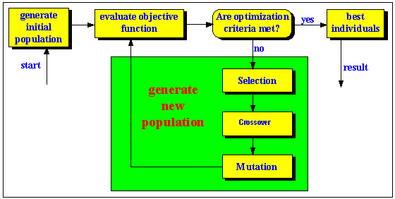 2. Genetiske algoritmer 5 2.2 Analogi og virkemåte for genetiske algoritmer I genetiske algoritmer benyttes en analogi som er hentet fra biologisk evolusjon.