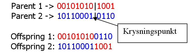2. Genetiske algoritmer 11 Innholdet av de to foreldrene blir så byttet om rundt krysningspunktet, og to nye individer blir dannet. Figur 2.5 illustrerer denne prosessen: Figur 2.
