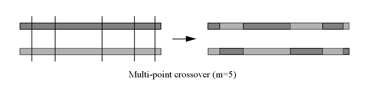 Offspring 2 derimot er bygget opp av begynnelsen av Parent 2 og slutten av Parent 1. For multi-point crossover blir det valgt m krysningsposisjoner, k i {1,..., N ind 1}, der k i er krysningspunktene.