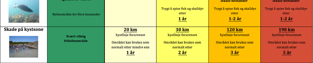 Derfor har vi nevnt de relevante artene i den grønne kolonnen som beskriver dagens tilstand, og kun referert til «vanlige» og «sårbare» sjøfugl i selve skadebeskrivelsen.