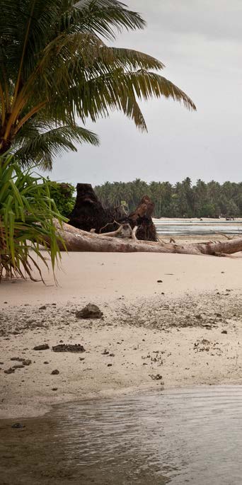 Fakta Carteret-øyene CARTERET-ØYENE AUSTRALIA Befolkningen regnes som de første ofrene for menneskeskapte klimaendringer.