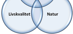 føringer mot hvilken type geologisk informasjon som