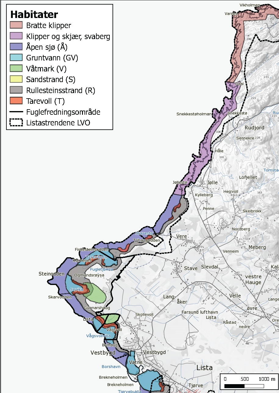 Figur 1: Habitatområder langs Listastrendene landskapsvernområde med fugle!edningsområder.