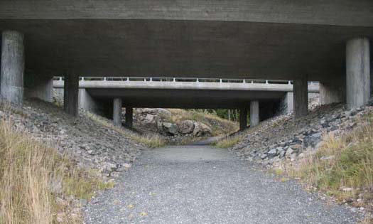 Foto: V. Kristiansen og G. O. Strætkvern. Landskapet ble bestemt ut ifra om det var mer eller mindre enn 50 % skog rundt passasjen, innenfor en radius på 1 km.