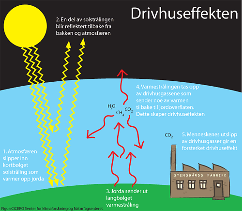 Drivhuseffekten Uten