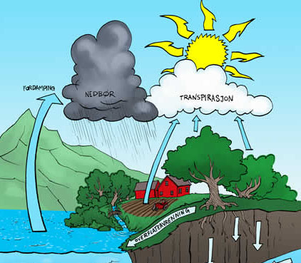 FRA HAVVANN TIL REGN TIL HAVVANN. Vannets kretsløp. Å måle nedbøren er en viktig del av meteorologien. Når sola varmer opp havet, vil noe av vannet stige til værs som damp. Denne dampen ser vi ikke.