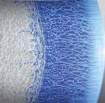 DAILIES TOTAL1 kontaktlinser har en ultramyk overflate som er nesten like myk