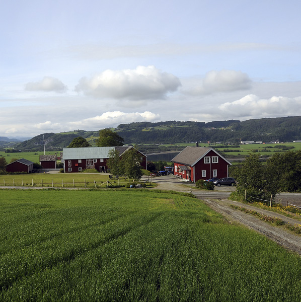 Busklein er en gård med melk- og