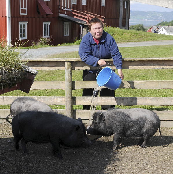 Grisene får vann av Ann