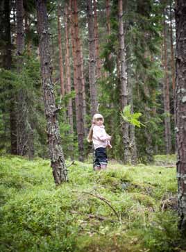 TRENGER TID. Når planter og trær brennes som biomasse eller drivstoff, slippes CO2-en som har vært lagret i planten ut.