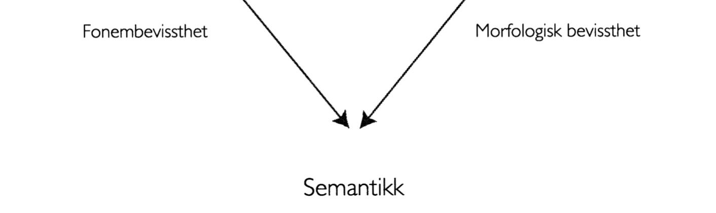 til 10. trinn er sammenhengende og koordinert (Frost, 2010). 3.