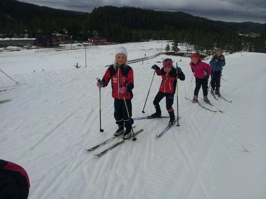 Mesteparten av MIL ski sin aktivitet er rettet inn mot segmentet allidrett -> 16 år. Vi har imidlertid også tre aktive juniorløpere: Ludvik Bjørnstad, Sivert Størseth og Sander Reitan.