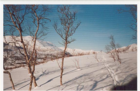 Gjennomførte likevel årets første tur på Roalden i vinterferien.går sjølvsagt frå Hole, slik at det blir ein dagstur! Rekorden for snø vart målt til 28 cm den 26. februar. Første møtet i 17.