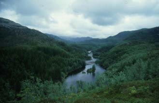 1.3 Norge har en variert natur Norge har mye topografi, ligger langt mot nord og ut mot kysten. Vi bruker gjerne vegetasjon og plantesammensetning for å beskrive naturens variasjon.