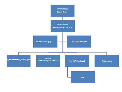 1. ORGANISERING AV BPA-ORDNINGEN Organisasjonskart: Din avdeling/virksomhet: Pleie og omsorg Kontorfellesskap, BPA Adresse: Bærum kommune, Pleie og omsorg/plob, 1304 Sandvika