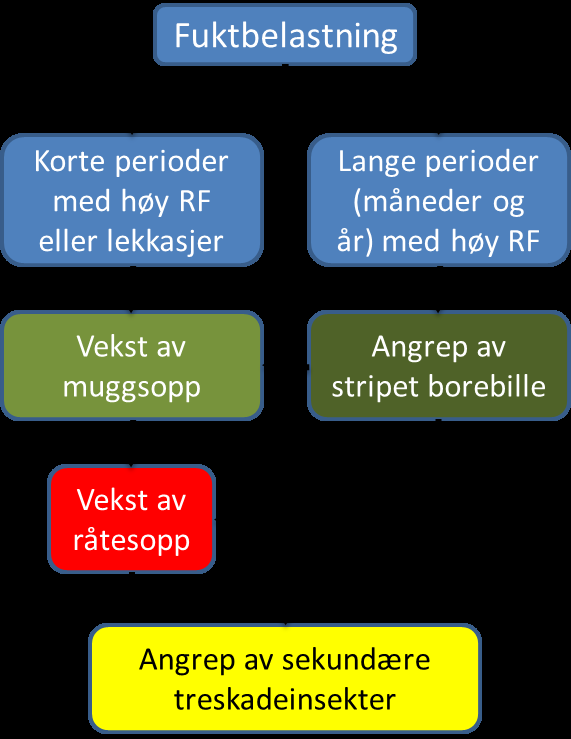 Figur 4. Over tid kan skadebildet forandres fordi det er varierende livsgrunnlag for de ulike artene. Muggsoppskader kan under gunstige forhold oppstå i løpet av få uker.