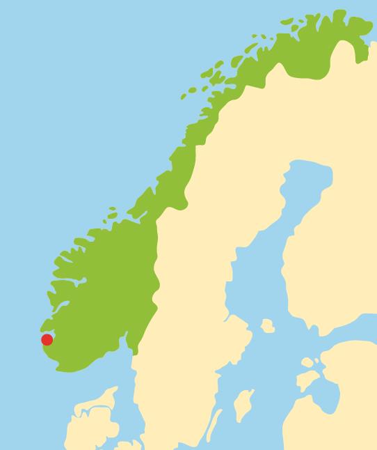 Stavanger Norges fjerde største by Samlet areal 67,67 km2 Ca130 000