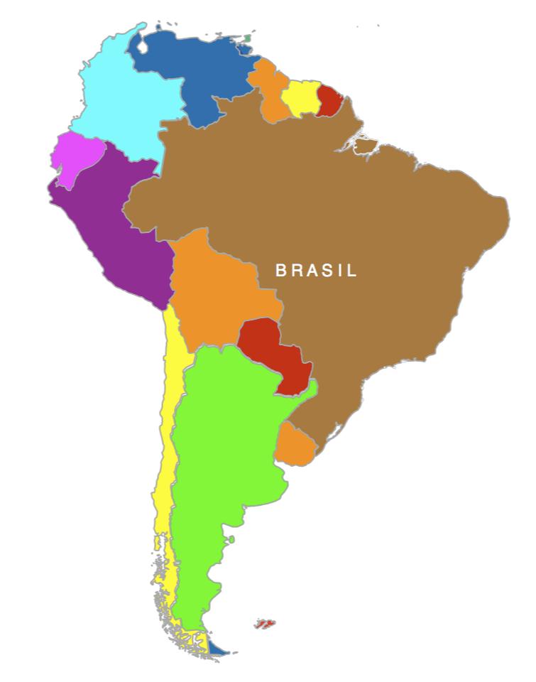 Geografiske utfordringer: Brasil Innførselskrav Krav til sjøfraktdokumenter og brasiliansk rederi dersom kjøperen er en offentlig etat Krav til detaljert