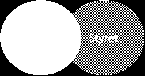 Forholdet mellom eier og styret (selskapet) kan illustreres som følger: Når eier har oppstilt sine eierkrav skal kommunen begrense seg til overordnet styring.