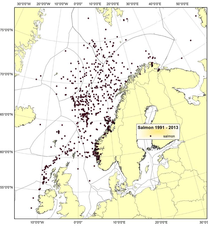 Alderen for disse er ikke analysert, men skjellprøver/otolitter finnes trolig slik at de kan analyseres.