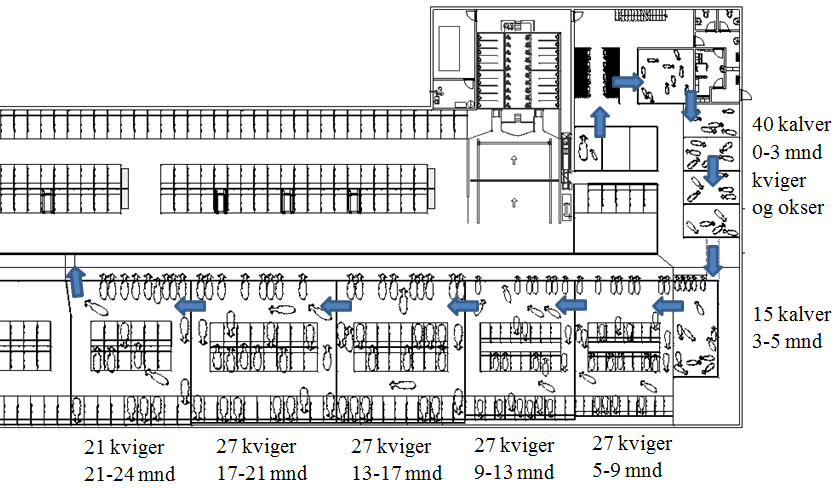 på tomten. Arbeidet rundt fôret og kjøring med traktor er hovedsakelig samlet til området rundt plansiloene. Klauvskjæring skal foregå utendørs på plattingen.