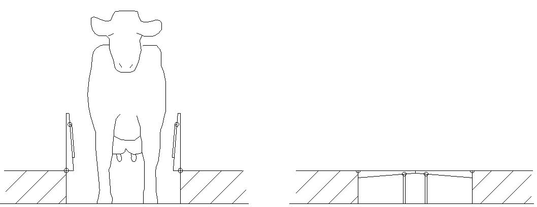 brettet for inseminering og kontroll. Når kvigene er kalvingsklare ved 21 24 mnd føres de via en overgang under fôrbrettet, til løsdriftsavdelingen.