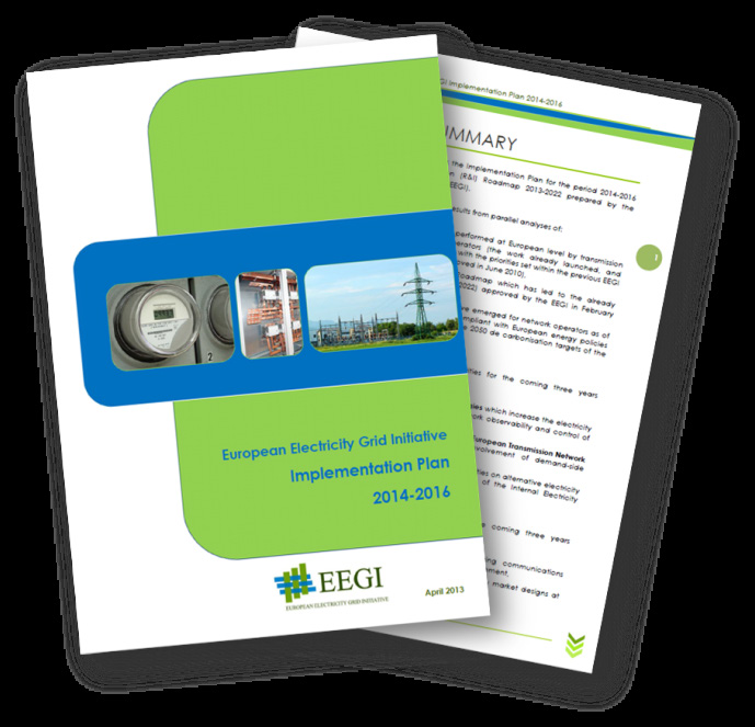 European Electricity Grid Initiative (EEGI) EEGI Research and Innovation Roadmap