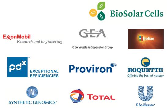 CO 2 til industriell algeproduksjon Pilot for industriell algeproduksjon Teknologiutvikling -