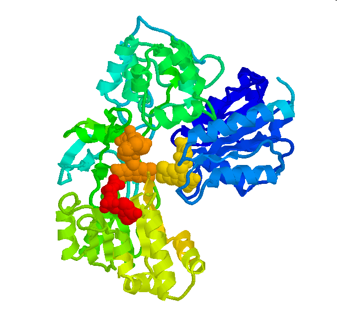 Protein Brukes til å vedlikeholde og bygge opp musklene De fleste nordmenn får i seg mer enn nok protein gjennom kosten